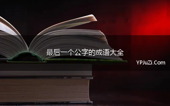 最后一个公字的成语大全