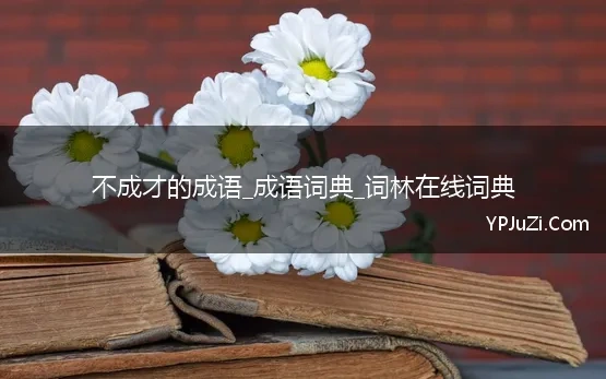 不成才的成语