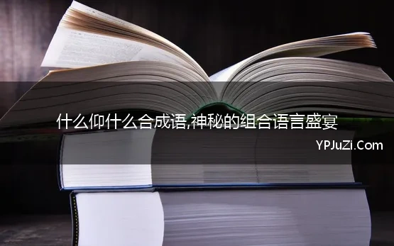 什么仰什么合成语,神秘的组合语言盛宴