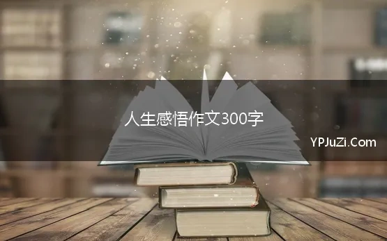 人生感悟作文300字