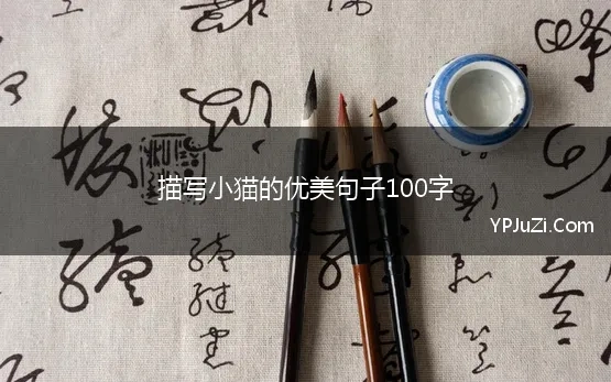 描写小猫的优美句子100字