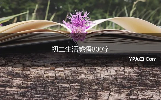 初二生活感悟800字(我的初二生活作文800字)