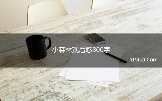 小森林观后感800字(奇幻森林的观后感800字左右)