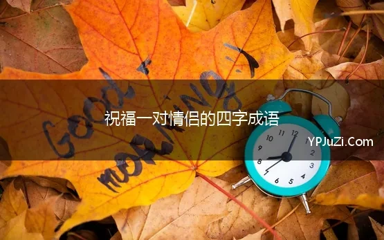 祝福一对情侣的四字成语(祝福情侣的四字成语汇总102个)