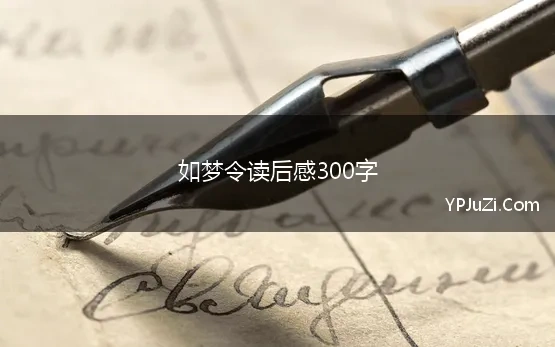 如梦令读后感300字