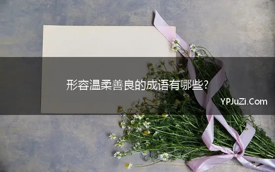 形容温柔善良的成语有哪些? 形容女人的温柔善良的成语