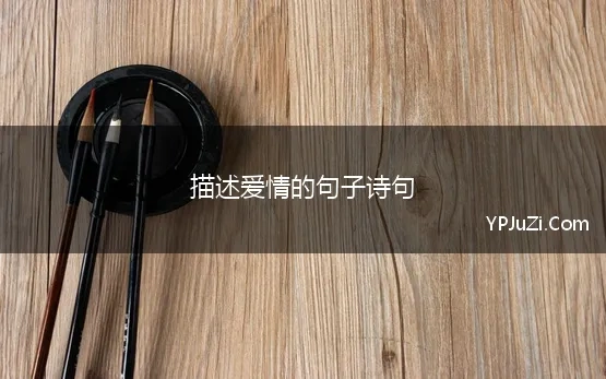 一句爱情诗句的赏析