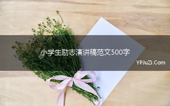 小学生励志演讲稿范文500字