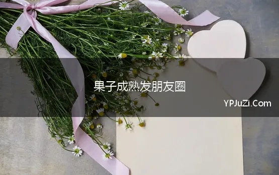 果子成熟发朋友圈(等待果实成熟发朋友圈的句子)