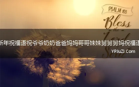 新年祝福语祝爷爷奶奶爸爸妈妈哥哥妹妹舅舅舅妈祝福语