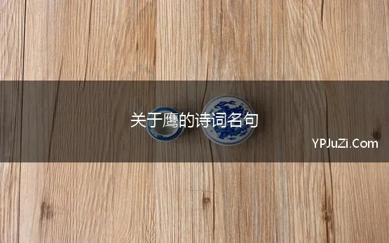 关于鹰的诗词名句(鹰的诗句)