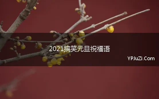 2021搞笑元旦祝福语