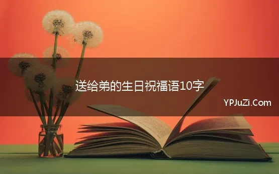 送给弟的生日祝福语10字