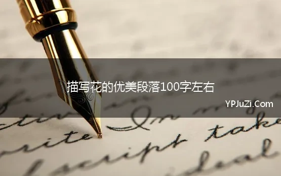 描写花的优美段落100字左右