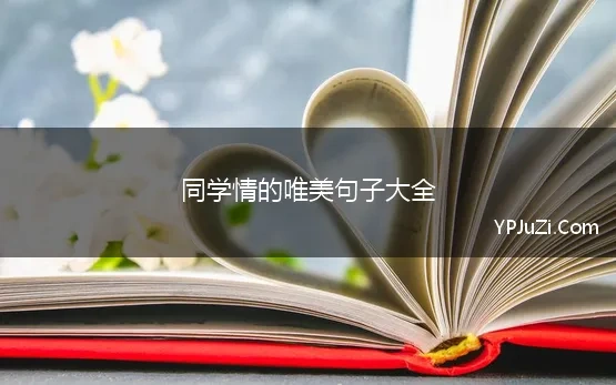 同学情的唯美句子大全 同学相聚的唯美句子