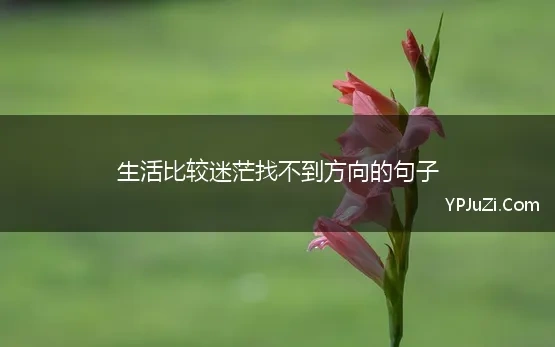 生活比较迷茫找不到方向的句子