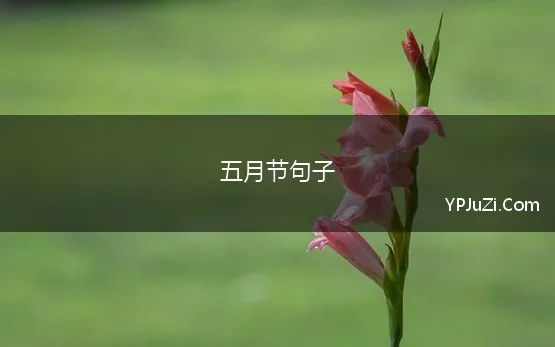 五月节句子 五月节祝福的句子