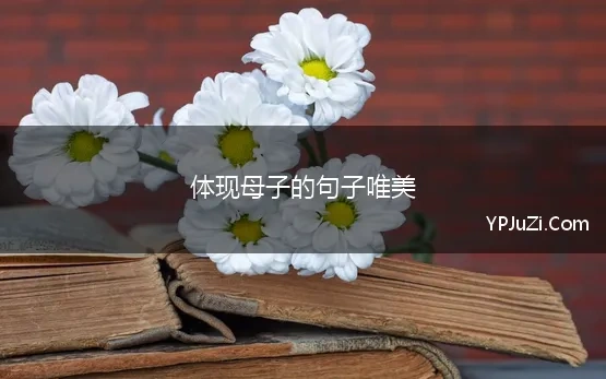 体现母子的句子唯美