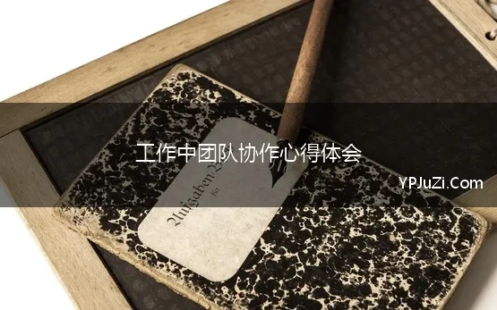 工作中团队协作心得体会 团队协作心得体会范文10