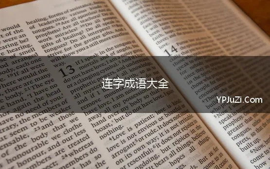 连字成语大全