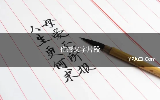 伤感文字片段