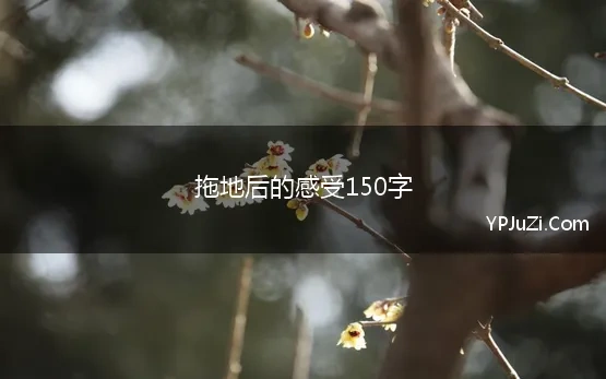 拖地后的感受150字