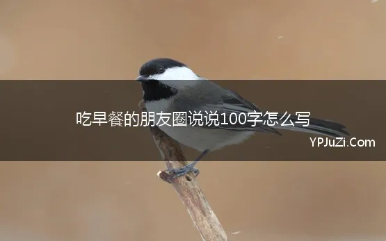 吃早餐的朋友圈说说100字怎么写