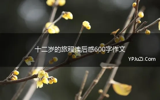 十二岁的旅程读后感600字作文