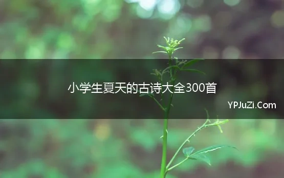 小学生夏天的古诗大全300首