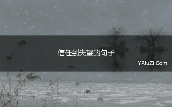 信任到失望的句子 关于对信任失望的句子