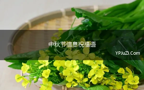 中秋节信息祝福语(中秋节祝福语精选)