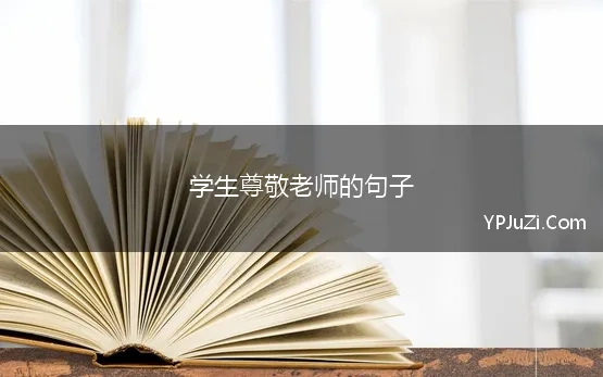 学生尊敬老师的句子 学生感恩老师的句子