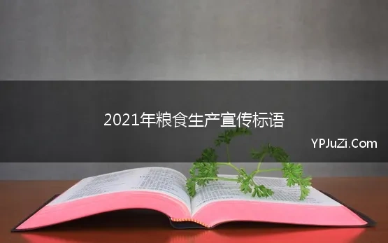 2021年粮食生产宣传标语