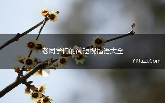 老同学们的简短祝福语大全(老同学祝福语大全简短1020)