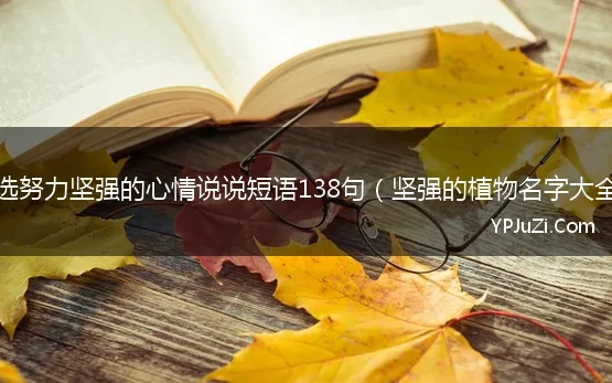 精选努力坚强的心情说说短语138句（坚强的植物名字大全）