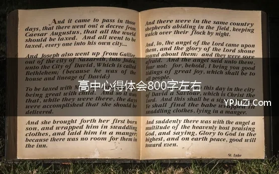 高中心得体会800字左右