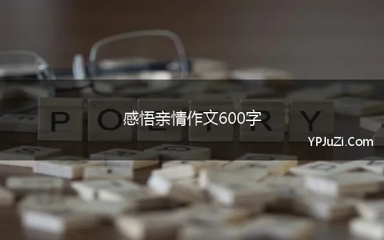 感悟亲情作文600字