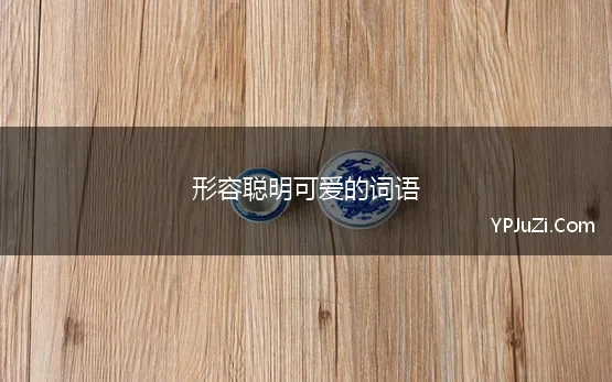 形容聪明可爱的词语