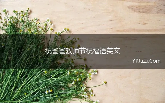 祝爸爸教师节祝福语英文