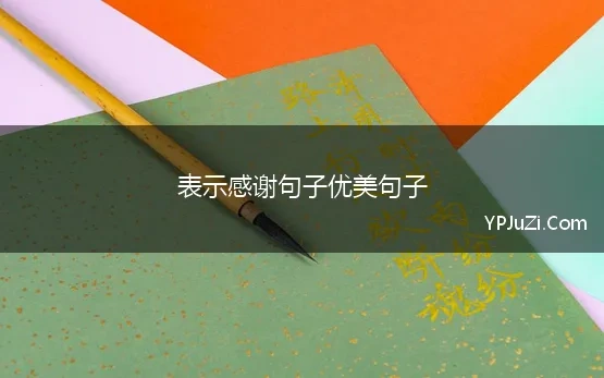 表示感谢句子优美句子 99句优美表示「感谢」的句子