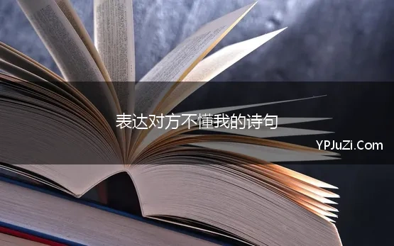 表达对方不懂我的诗句(有什么诗句表达别人不懂自己的内心)