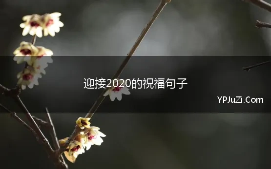 迎接2020的祝福句子