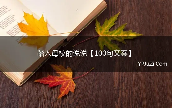 踏入母校的说说【100句文案】