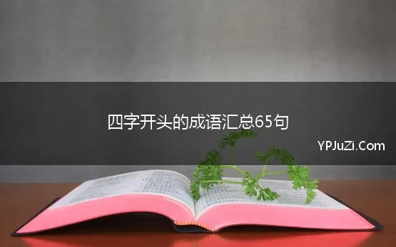 四字开头的成语汇总65句