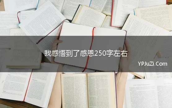 我感悟到了感恩250字左右(我学会了感恩作文250字)