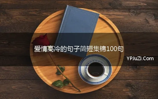 爱情高冷的句子简短集锦100句