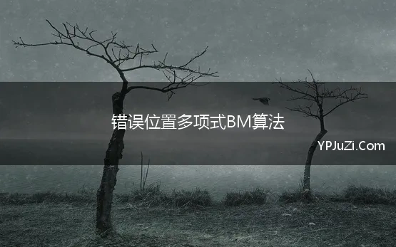 错误位置多项式BM算法