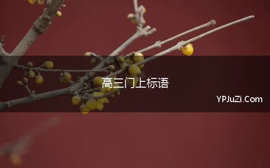 高三门上标语 有没有什么好的高三励志标语