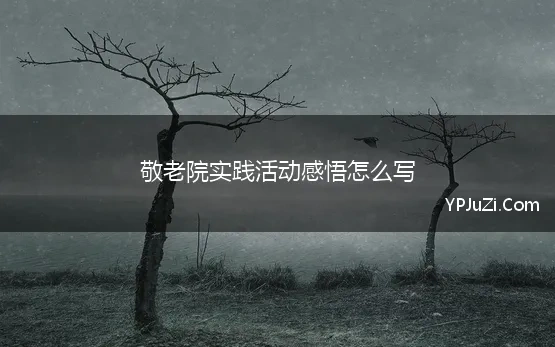 敬老院实践活动感悟怎么写 敬老院社会实践心得感悟