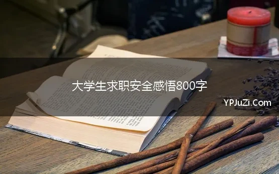 大学生求职安全感悟800字(浅论大学生求职安全和权益保护)